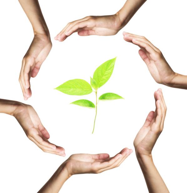 咸嘉博才小学校长陈艳萍,咸嘉学校校长陈艳萍