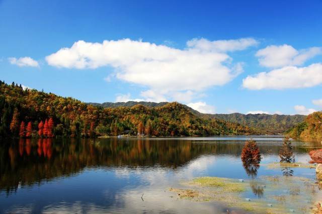 中国秋色最美的五个地方,邂逅国内各地绝美秋色