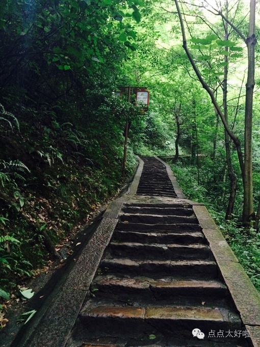 挪威的森林小说免费阅读全文,挪威的森林小说适合小孩看吗