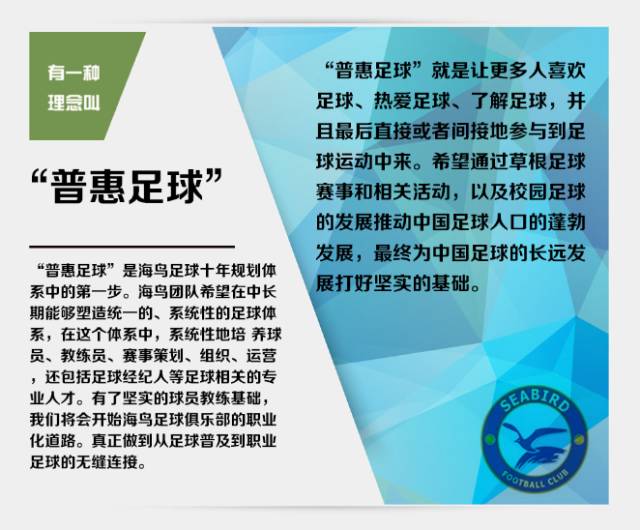 绿茵场和足球场,绿茵联手计划足球赛