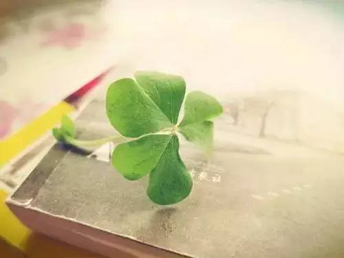 高考英语1000个必背单词,100句话搞定高中英语单词