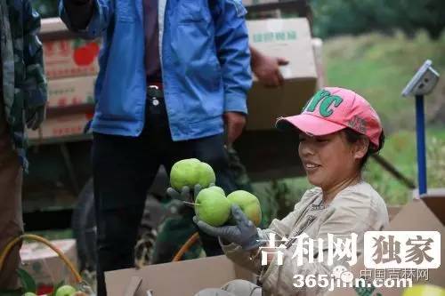 长春热企提前开栓供热,长春热企最新动态