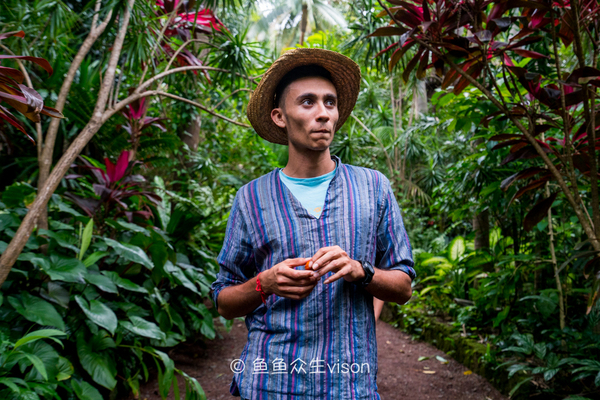 传说中的金银岛1993,金银岛宝藏传说是真的还是假的