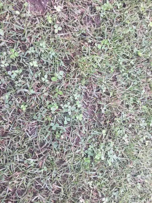 鏉冨仴鍥炲綊涓诲満瀹屾暣瑙嗛,鏉冨仴鑳藉惁鎹嶅崼涓诲満鎸藉洖棰滈潰