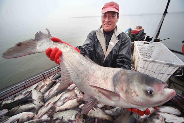 不要再纠结，得了肠胃病照着做，不治自愈