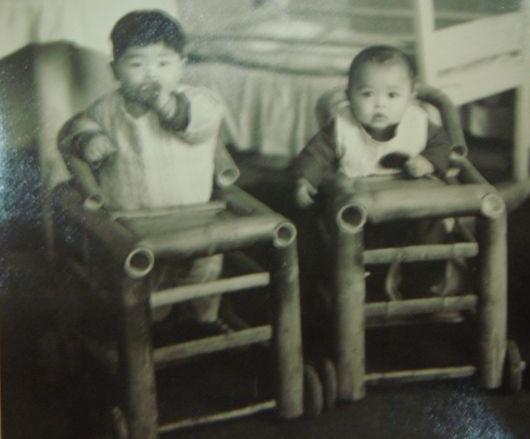 高景观婴儿推车多高合适,高景观婴儿推车是什么