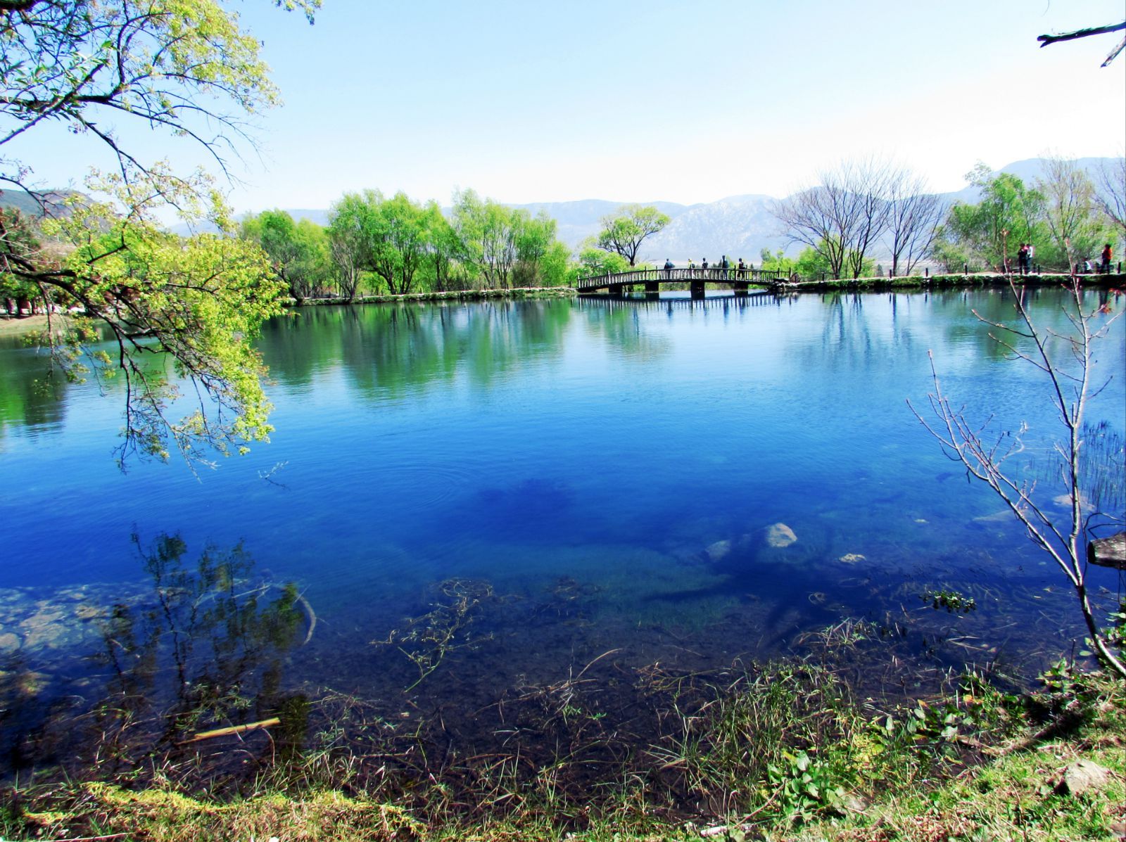 丽江门票降价了吗现在多少钱一张,丽江游玩攻略景点门票多少钱一张