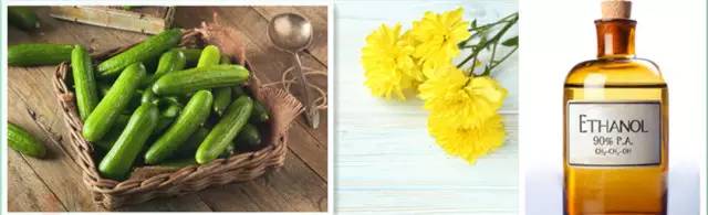 安速蟑螂屋强效清除家中蟑螂,练氏蟑螂屋能彻底消除蟑螂吗