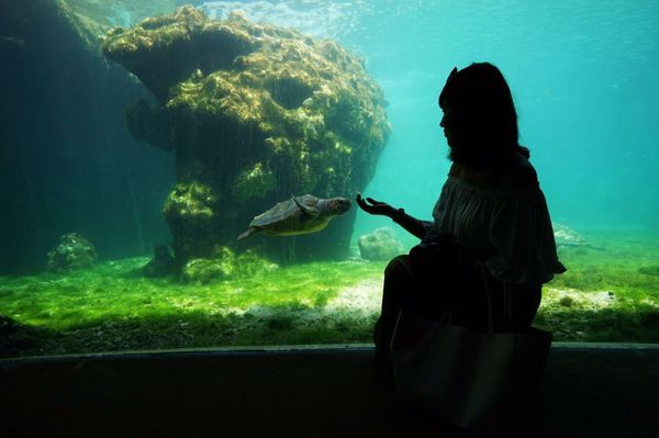 金银岛是真实存在的吗,金银岛神秘之谜