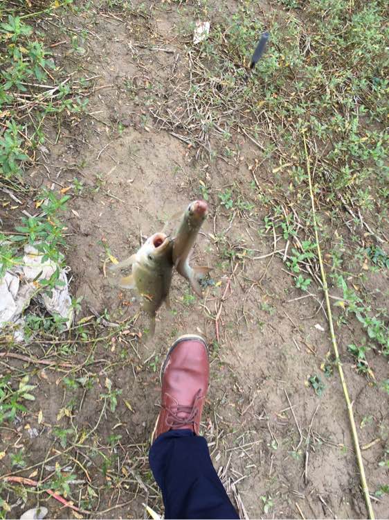 为什么野钓更舒服,为什么野钓要钓底