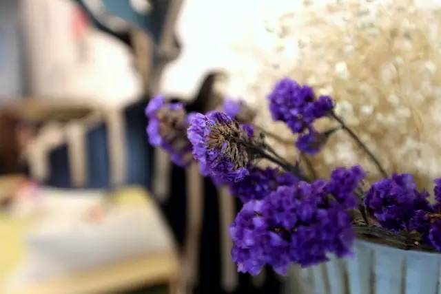 城事,城事完整版视频