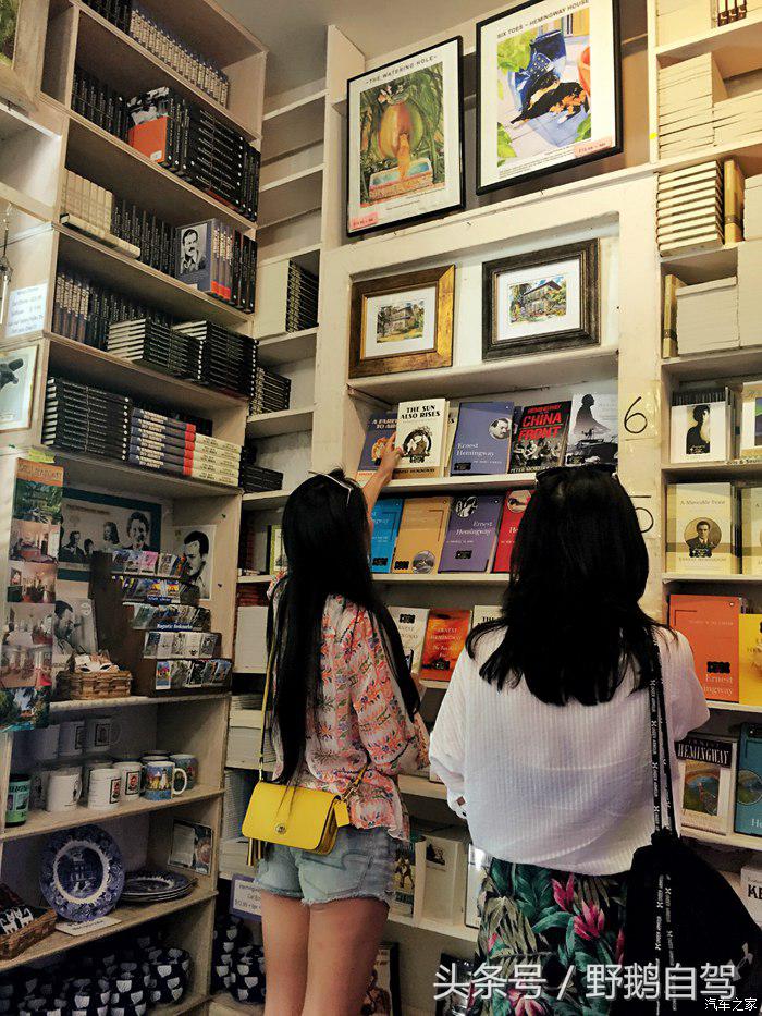 野鹅旅行,野鹅自驾无人区