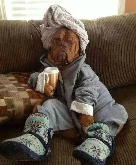 香菇，有一种蓝瘦叫“空巢青年”