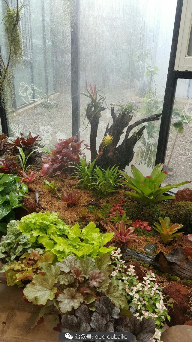 向阳的玻璃花房,玻璃花房设计建造