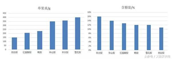 买梨子怎么选才好吃,义田买手