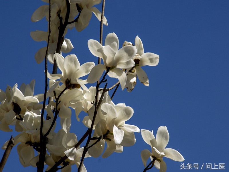 类风湿关节炎停药后怎么护理,类风湿性关节炎的护理ppt免费