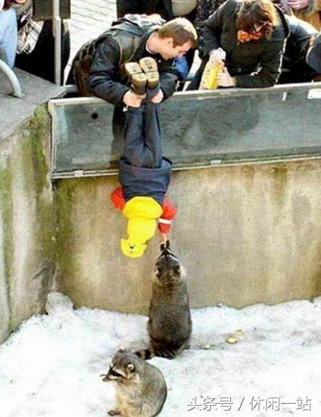 不靠谱的爸爸有时候也很靠谱,不靠谱的爸爸原视频