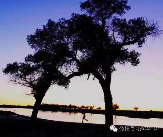 写给母亲的千古情,写给母亲的百封家书