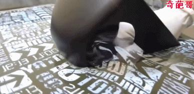 水转印技术能管多久,水转印技术的优缺点是什么