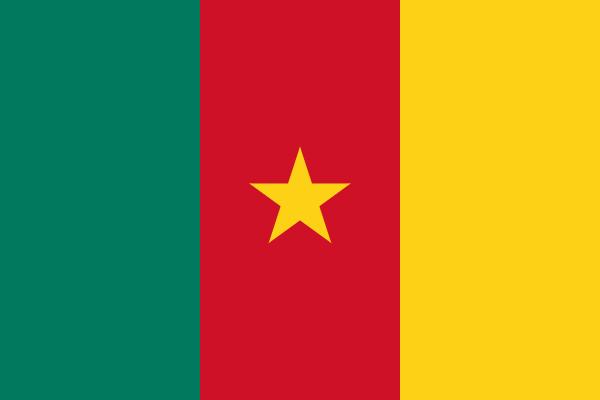 该非洲国家足球能甩中国几条街,可是军事实力实在有点弱