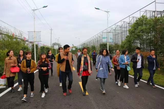 美丽安徽行视频,美丽安徽行齐云山