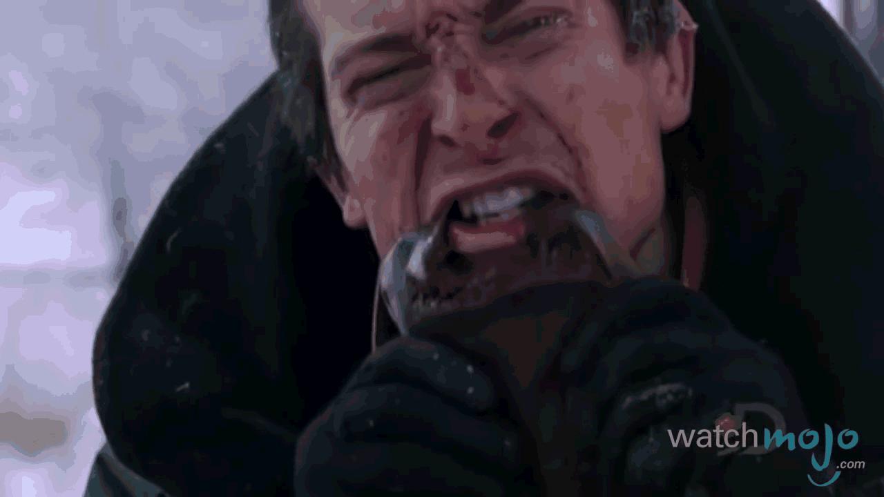 贝爷吃过最恶心的虫子,贝爷吃过十大恶心虫子