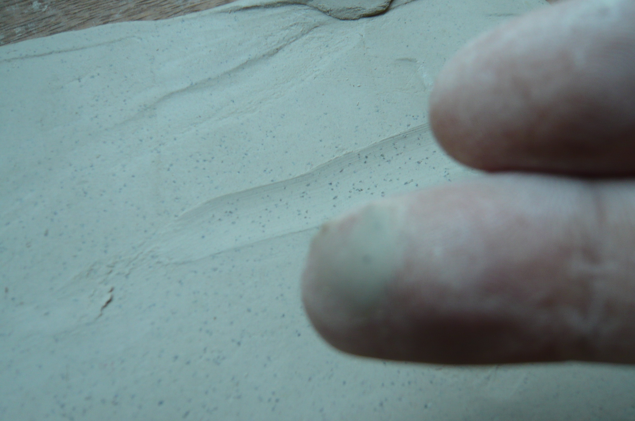 茶壶夜话|本山绿泥，想说爱你，并不是很难的事（中）