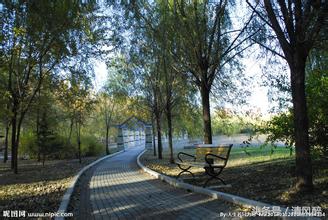 描写校园的优美句子,校园夕阳西下的唯美句子