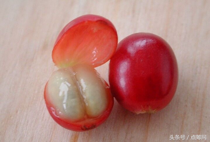 咖啡重度依赖症,咖啡重度依赖者