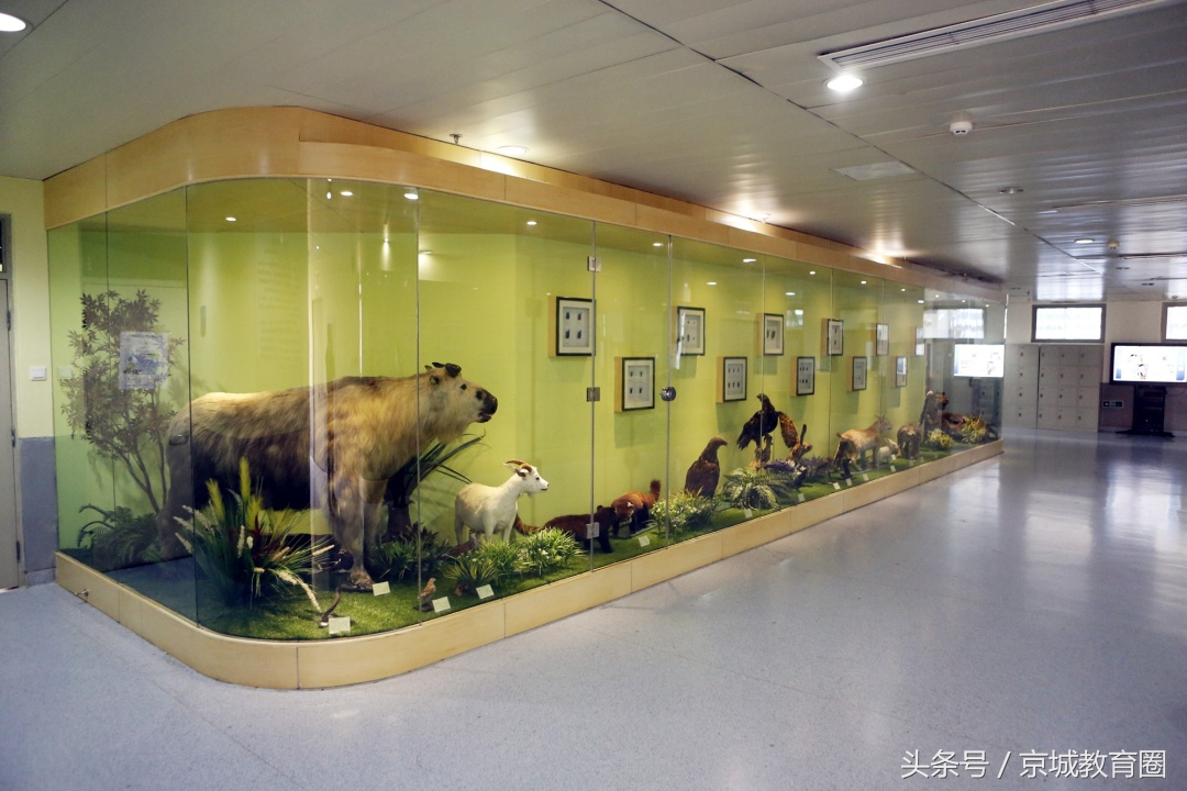 怎样报考附中,如何报考首师大研究生