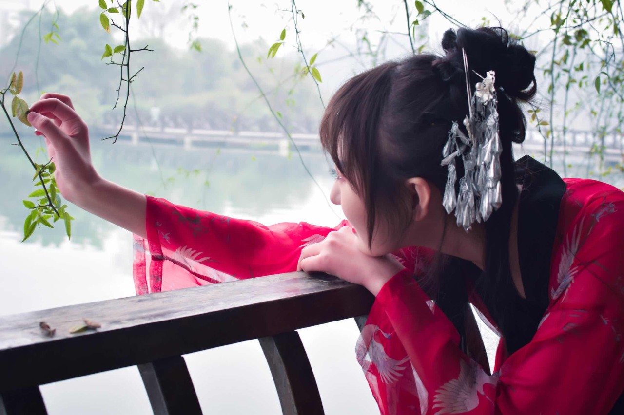 丹帝重生废物皇子,二皇子派人刺杀太子小说