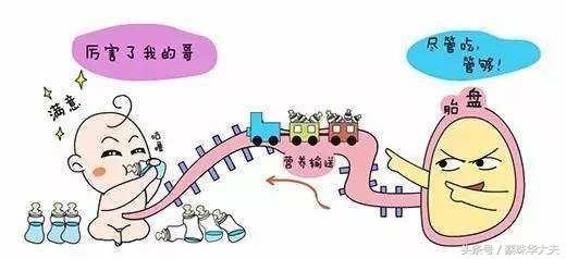 怀孕22周，脐血流检测SD4.3是否偏高？怎么降低？