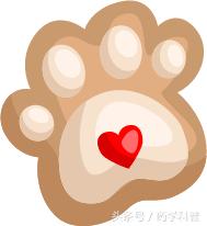 胰岛素注射笔使用方法及注意事项,胰岛素注射针头的使用方法