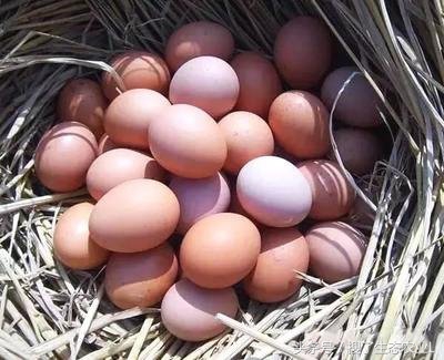 2022创业项目推荐适合创业的项目,农村实体店创业好项目大全