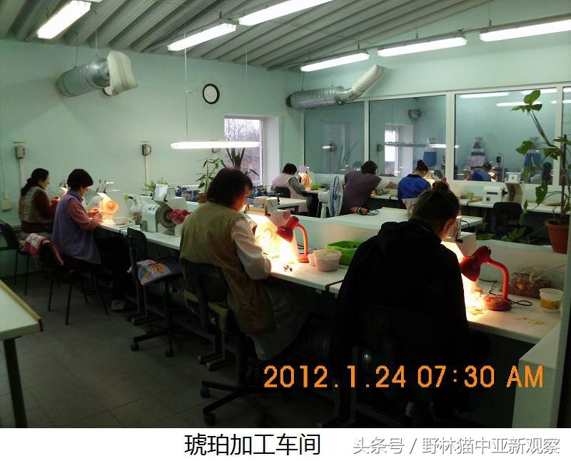 野林猫之-俄罗斯琥珀之都探秘