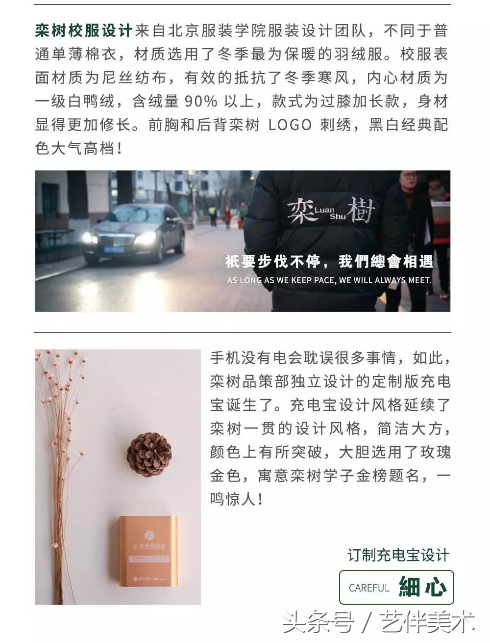 栾树画室——2020届招生简章北京必看画室之一