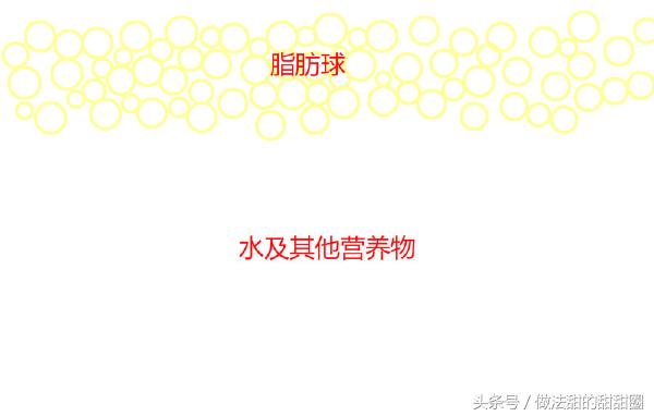 蓝色奶油法甜,香缇奶油教程