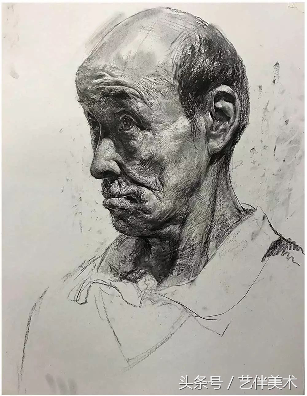 栾树画室北京,栾树画室有集训吗