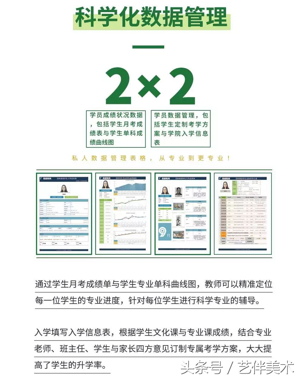 栾树画室北京,栾树画室