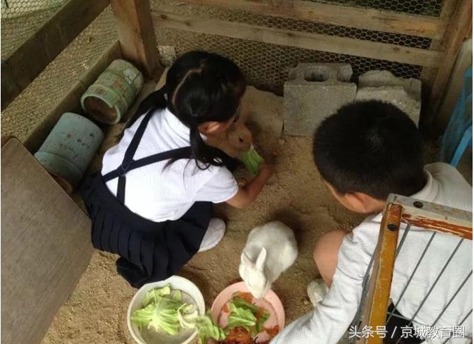 日本的教育有什么值得学习的地方,日本对儿童的教育值得我们学习吗