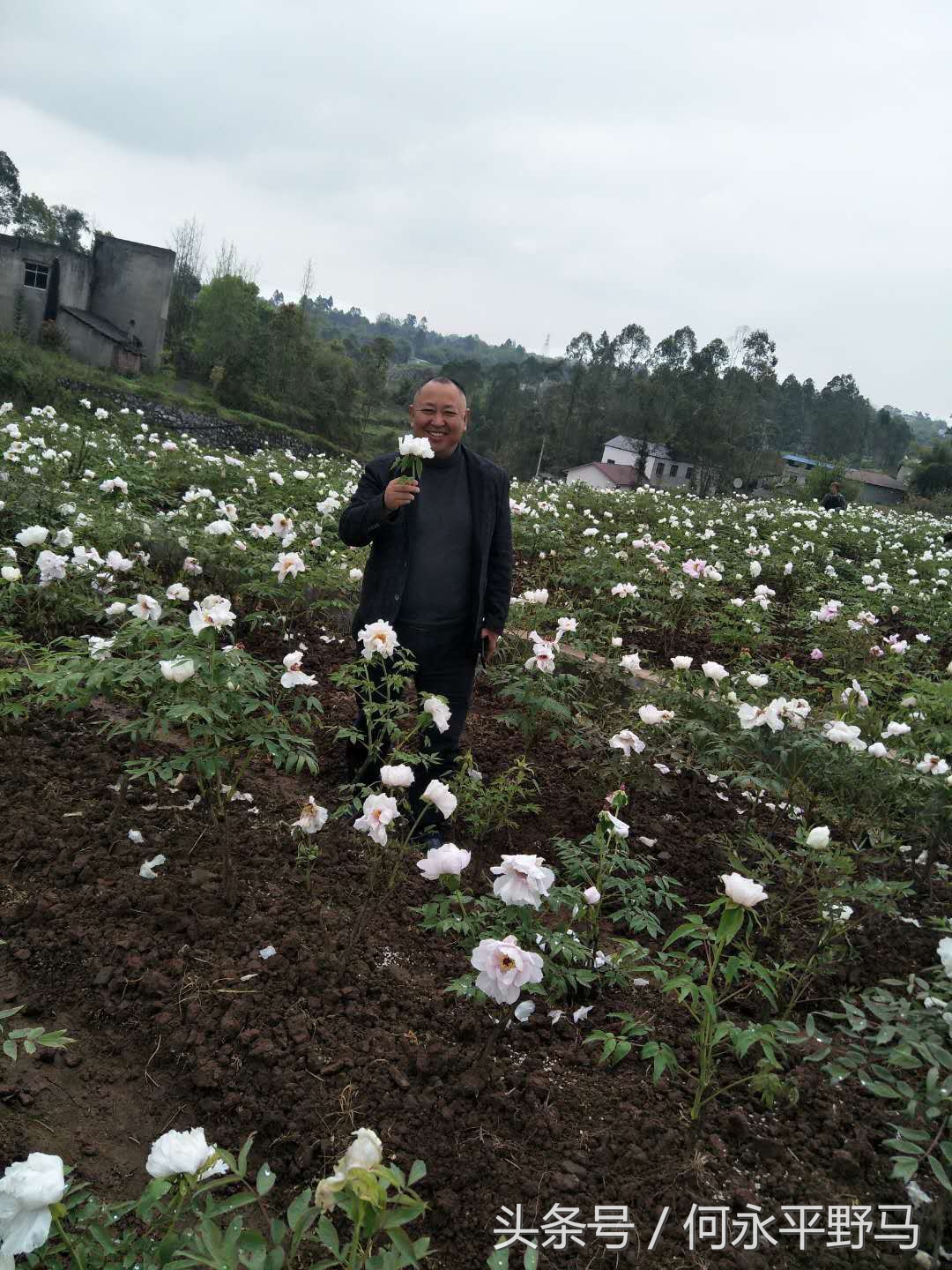 重庆千亩油菜花开“醉”游人,航拍千亩花海惹人醉