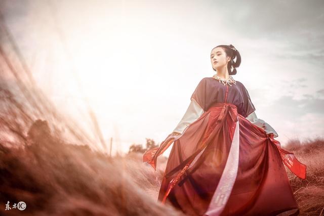 公主和亲被大将军下毒,和亲公主一起被灭口的小说