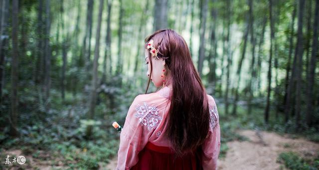 小说：她只是个小仵作，却能进宫和皇帝踢蹴鞠，连王爷都只能作陪