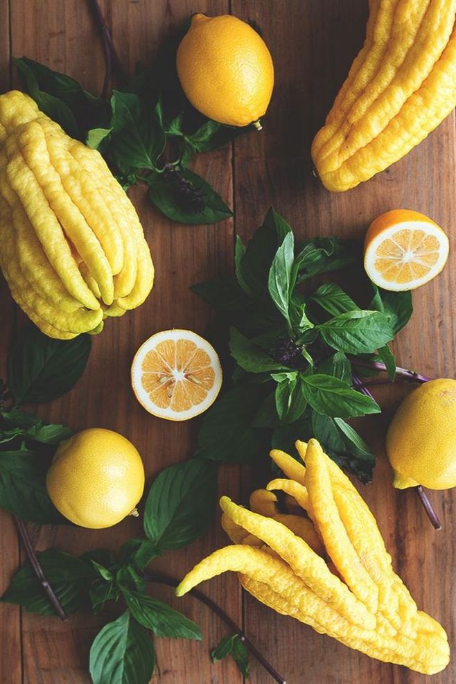 适合院里养十大最吉利树,家中宜种什么吉祥树