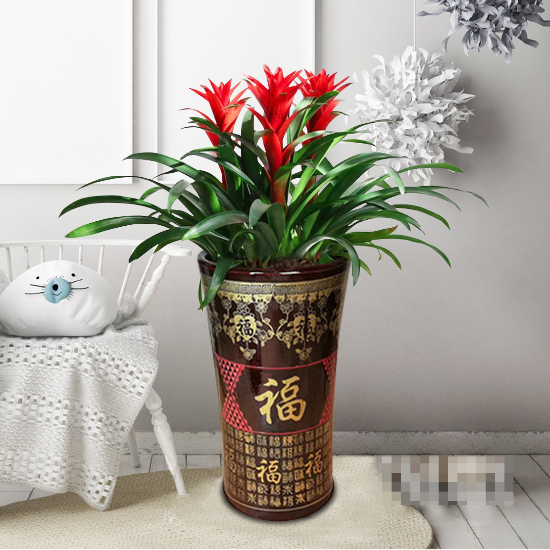 家里的花别瞎养5种招财开运花,室内放什么花转运