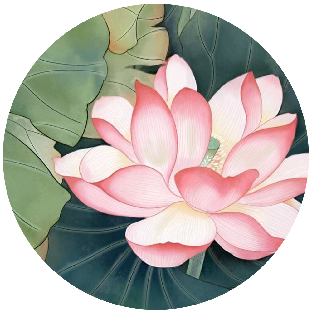 班风班貌是什么意思,班风的含义