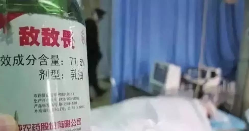 80年代头上为什么会有虱子,30年前都有虱子