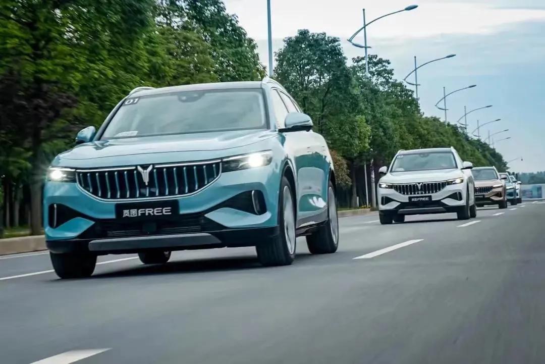 岚图还有吗,我为什么留在北京