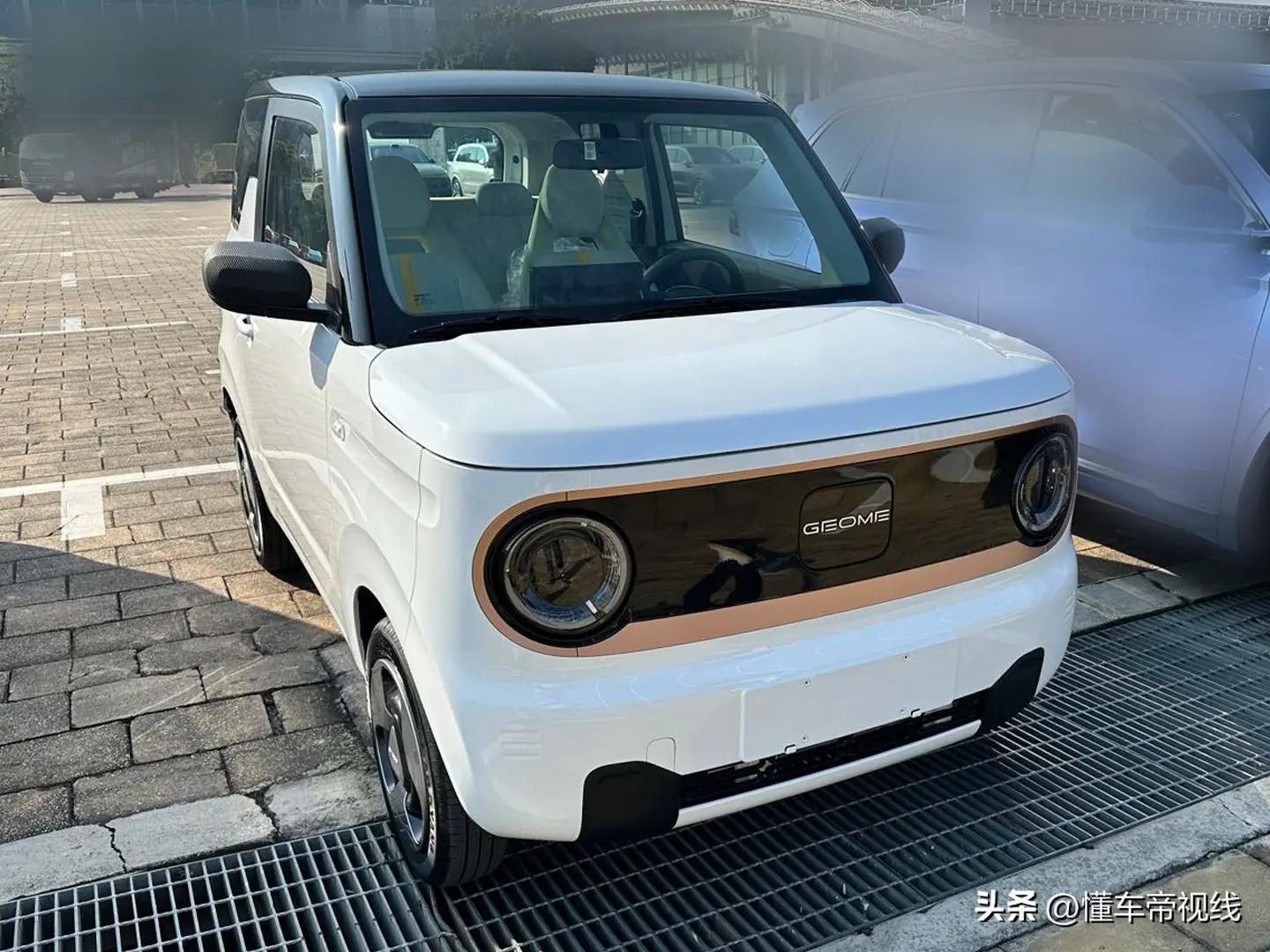 吉利熊猫和五菱mini,吉利熊猫mini电动车价格