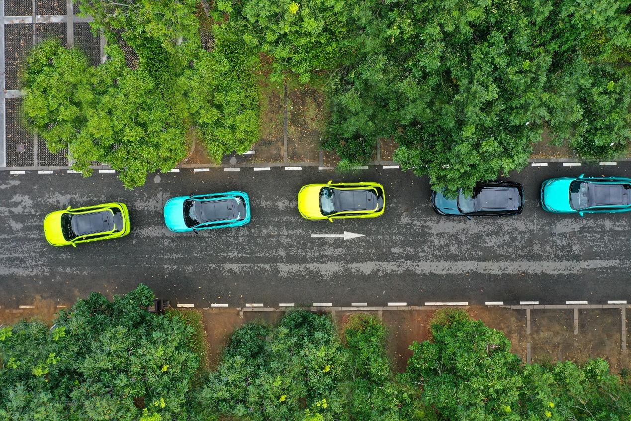 带着粉丝去三亚试驾、沙滩BBQ狂欢，东风风行这样的聚会请天天办